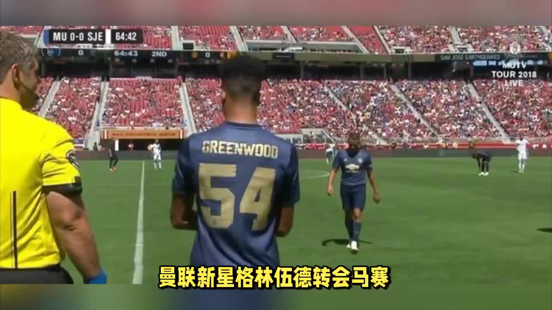 参照案